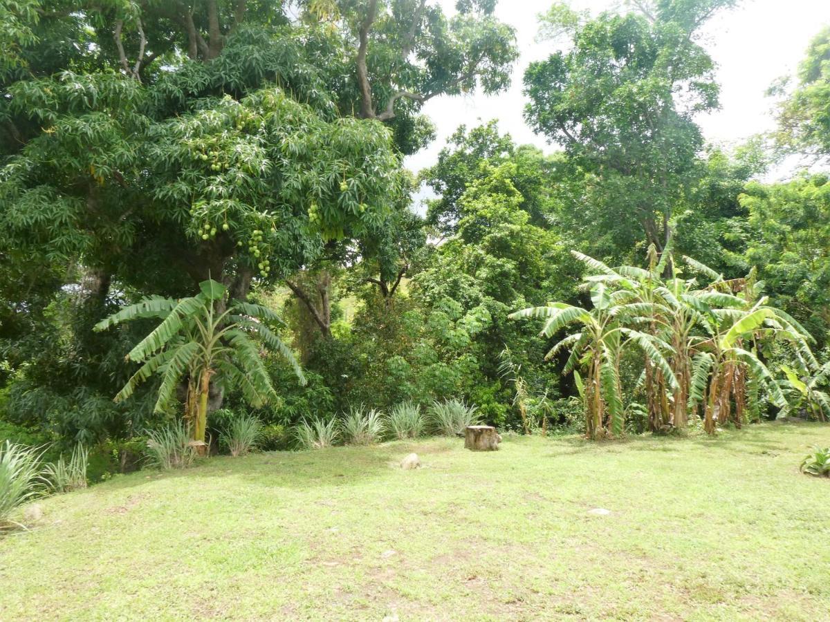 Villa Sous Les Manguiers